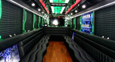 22 passenger party bus 1