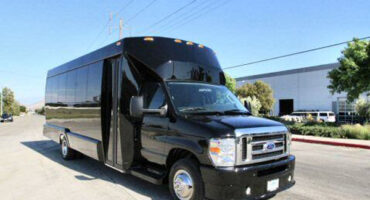 22 passenger party bus