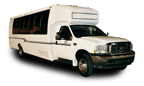 20 passenger party bus