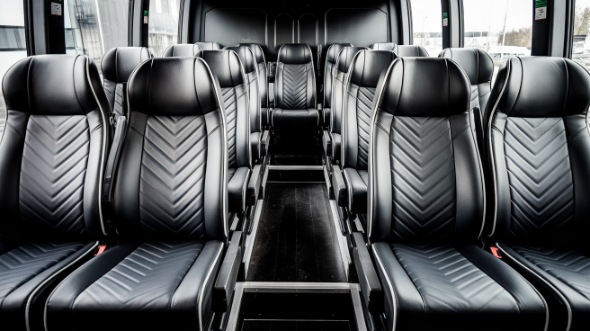 28 passenger minibus rental greenville